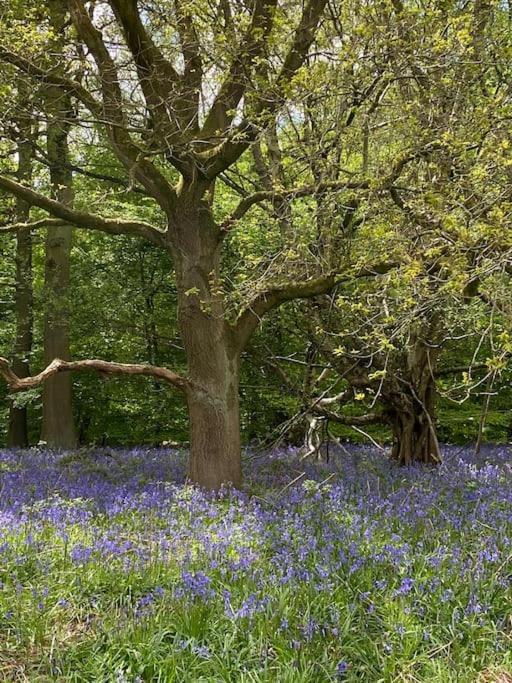 South Cottage - Garden, Views, Parking, Dogs, Cheshire, Walks, Family Adlington Eksteriør billede