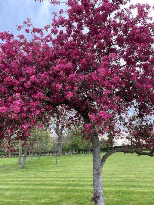 South Cottage - Garden, Views, Parking, Dogs, Cheshire, Walks, Family Adlington Eksteriør billede