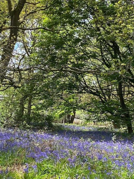 South Cottage - Garden, Views, Parking, Dogs, Cheshire, Walks, Family Adlington Eksteriør billede